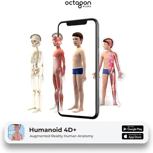 Miniatura 3 de Octagon Studio Tarjetas 4D humanoides para aprendizaje STEM en casa