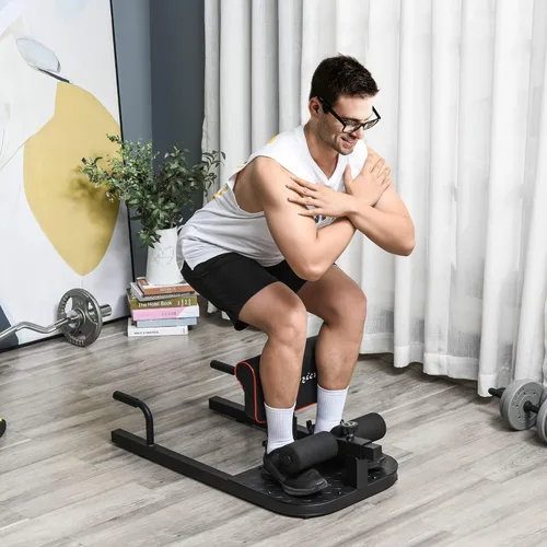 Miniatura 2 de Soozier 3-in-1 Padded Push Up Sit Up Deep Sissy Squat Machine Home Gym Fitness Equipment Negro