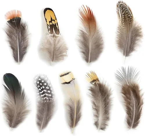 180 plumas naturales de 9 estilos surtidos de plumas para joyas y manualidades de atrapasueños 9 estilos/180 piezas