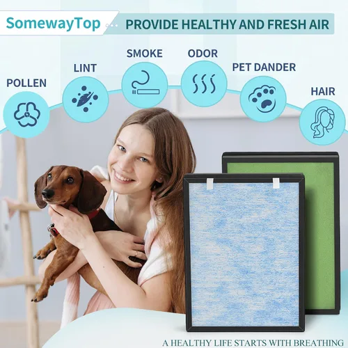 Miniatura 5 de HSP002 Filtro de repuesto compatible con filtros de aire HSP002, filtro de aire de filtración de etapa 4 en 1 para habitación grande y hogar, 2 2