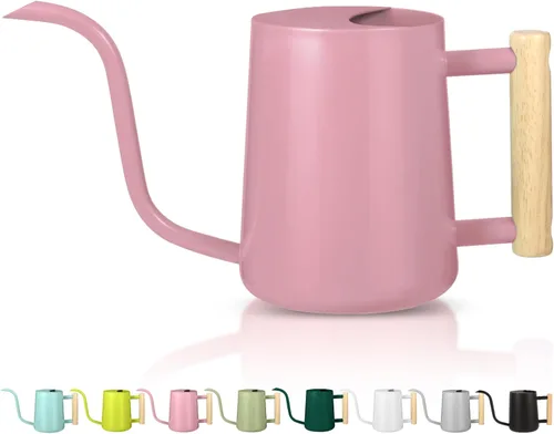 Miniatura 13 de Regadera para plantas de interior, regadera pequeña de acero inoxidable de 35 onzas, regadera decorativa moderna con boquilla larga para plantas