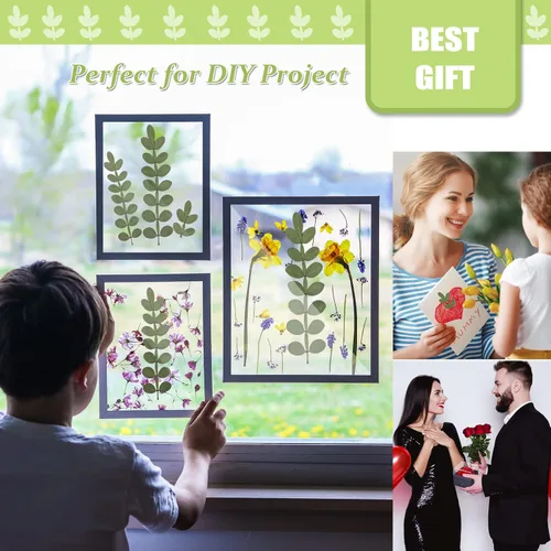 Miniatura 3 de Hojas secas prensadas naturales para resina, 42 piezas de hojas espinosas secas reales para arte de resina, manualidades, tarjetas, álbumes