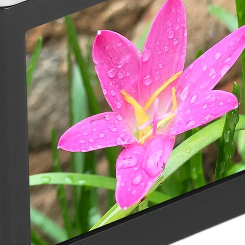 Miniatura 8 de Cámara digital para fotografía y video, cámara de vlogging 4K, cámara compacta de enfoque automático de 50 MP con luz de relleno, punto de zoom 16X