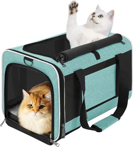 Miniatura 13 de GAPZER Transportador de mascotas para gatos grandes de 20 libras + / Transportín de lados suaves para perros pequeños de 12 libras, jaula de viaje