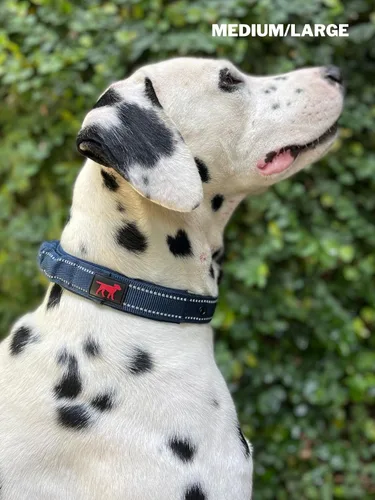 Miniatura 7 de Tuff Pupper Collar de perro resistente con asa Collar de nailon balístico resistente Collar de perro reflectante acolchado con hardware Azul