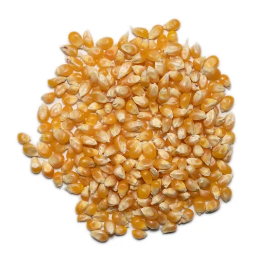 Miniatura 3 de 1000 Springs Mill Granos secos de palomitas de maíz, sin OMG, aperitivo saludable para microondas o estufa, granos de palomitas de maíz orgánicos a