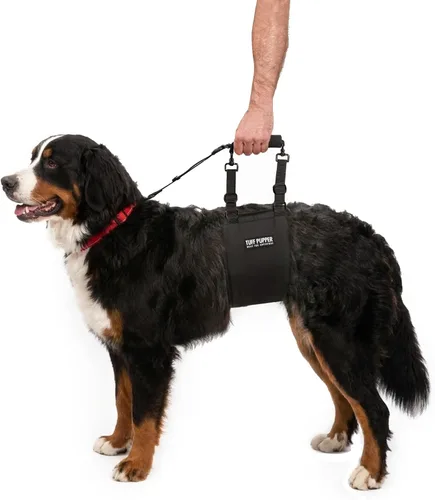 Miniatura 11 de Tuff Pupper Arnés de cadera para perros Soporte de elevación trasera para perros mayores y lesionados Ayuda de movilidad ajustable Mango