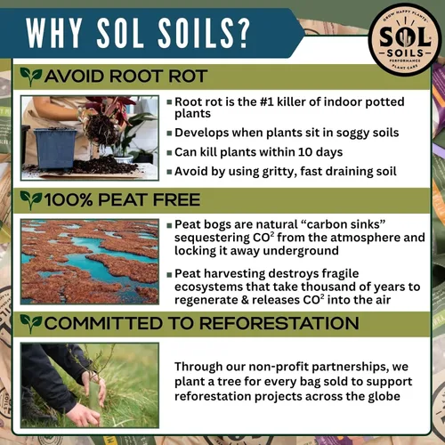 Miniatura 6 de Sol Soils Perlita gruesa para plantas, enmienda ligera y totalmente natural de suelo de vidrio volcánico para mejorar el drenaje y la aireación, 2
