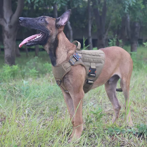 Miniatura 2 de ICEFANG Arnés táctico para perro con 4 hebillas de metal, chaleco, equipo para transportar carga, ligero y modular para perro con asa, sin correa