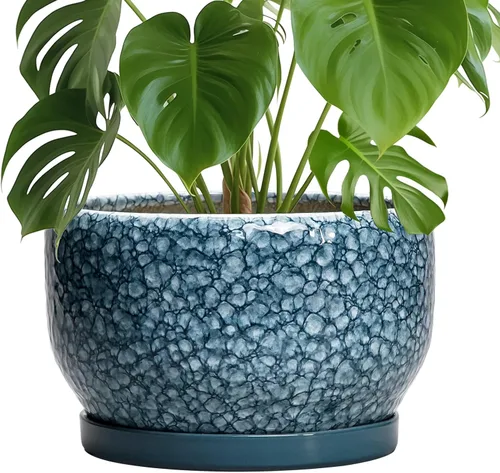 Miniatura 75 de SQOWL Macetas de cerámica – Maceta de 6 pulgadas con orificio de drenaje y bandeja, maceta redonda para plantas de interior, maceta decorativa