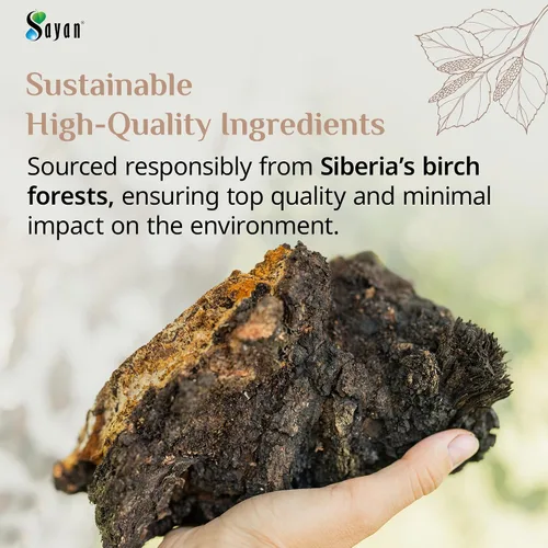 Miniatura 5 de Polvo extracto hongo chaga siberiano. Súper antioxidante, ayuda al sistema inmune., 2 onza, 1 Extracto de Chaga