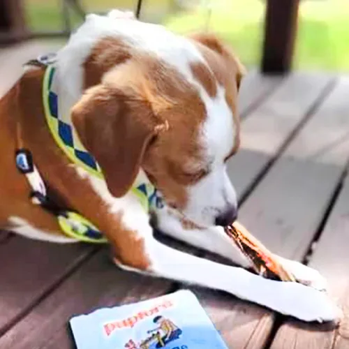 Miniatura 6 de Pupford Masticables de tendón de carne estándar para perros y cachorros, masticables totalmente naturales con glucosamina para la salud