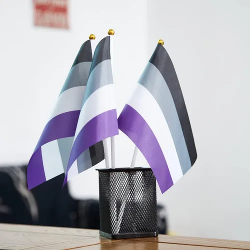 Miniatura 5 de GentleGirl Paquete de 12 banderas de arco iris del orgullo asexual, pequeñas banderas de mano gay LGBT Festival Fiesta Desfiles Decoraciones