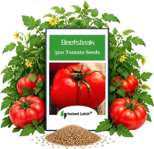 500 semillas de tomate para plantar semillas de tomate tradicionales de EE. UU. Paquete de semillas vegetales frescas no transgénicos