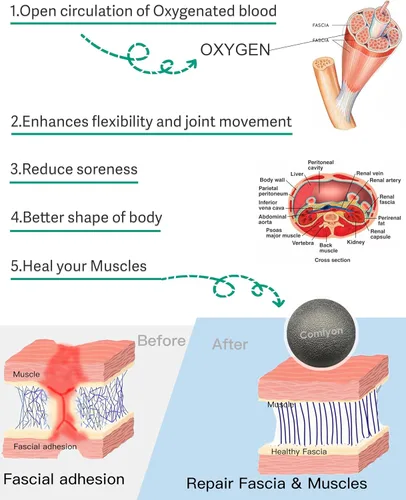 Miniatura 8 de Bola de masaje para alivio de fascitis plantar – Bola de lacrosse, rodillo de masaje para pies y bola de liberación miofascial para dolor de pies
