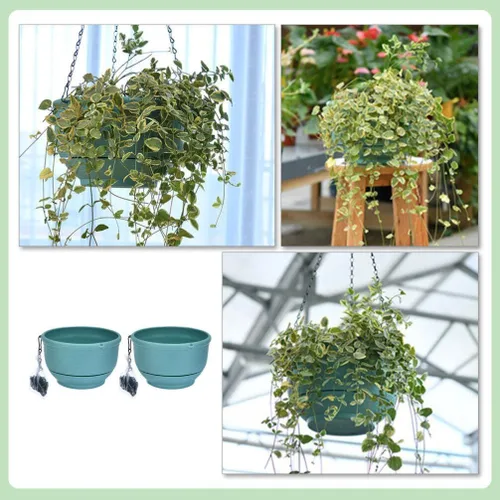 Miniatura 8 de Cabilock Cesta de riego automático, 2 piezas, maceta colgante de riego automático para interiores y exteriores, cesta colgante de plantas verdes