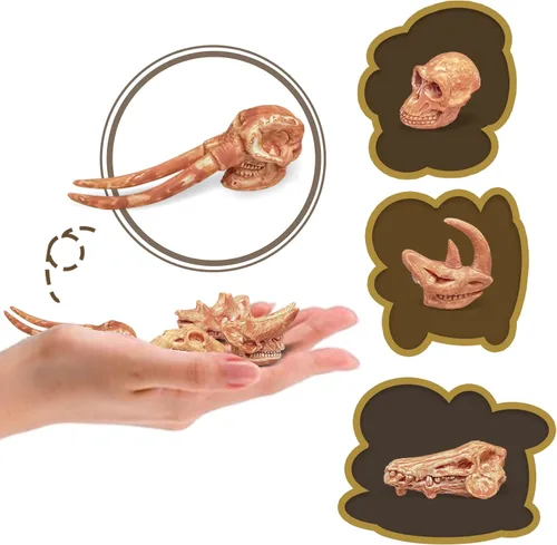 Miniatura 6 de LC JoyCre Juego de huesos de animales prehistóricos miniatura realistas para caja de arena, huesos de dinosaurio falsos para niños, juguetes
