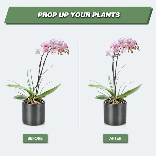 Miniatura 2 de Joyhalo Paquete de 20 Estacas de Soporte para Plantas de 36 Pulgadas, Estacas para Plantas, Estacas para Flores con 24 Lazos de Torsión, Palos