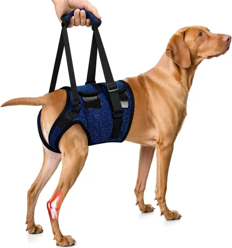 Arnés de Elevación SlowTon para Perros - Arnés Ajustable para Perros Medianos y Grandes, Soporte para Patas Traseras para Ayuda en Rehabilitación,