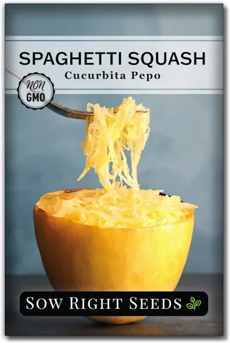 Miniatura 7 de Sow Right Seeds - Semillas de calabaza espagueti para plantar - Paquete de reliquia sin OMG con instrucciones para plantar y cultivar un huerto al