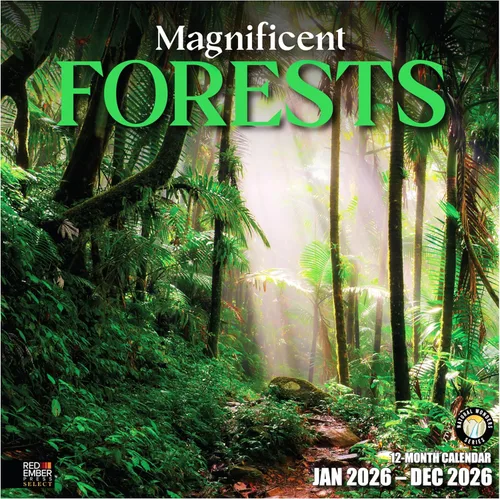 Miniatura 10 de RED EMBER Select - Calendario de pared 2026 de Playas Untamed & Scenic 2026 de 12 meses 12 x 24 pulgadas abierto Papel grueso y resistente