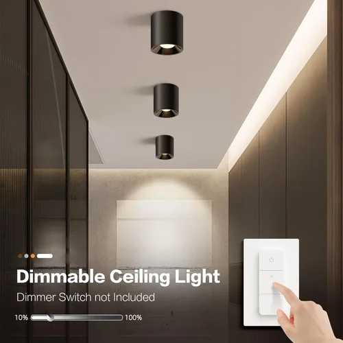 Miniatura 4 de OKELI Lámpara de Techo LED Moderna de Montaje al Ras COB 20W 4000K Luces de Techo Cilíndricas, Lámparas de Iluminación Regulables para Pasillo