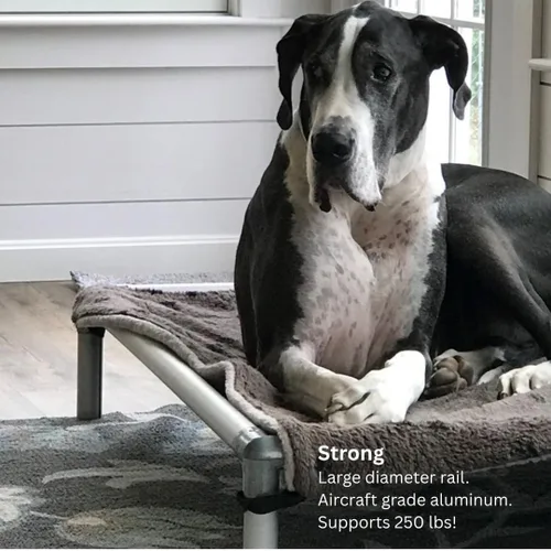 Miniatura 6 de Kuranda Cama elevada para perros a prueba de mordeduras - Aluminio plateado - 30" x 20" - Cordura Nylon - Borgoña