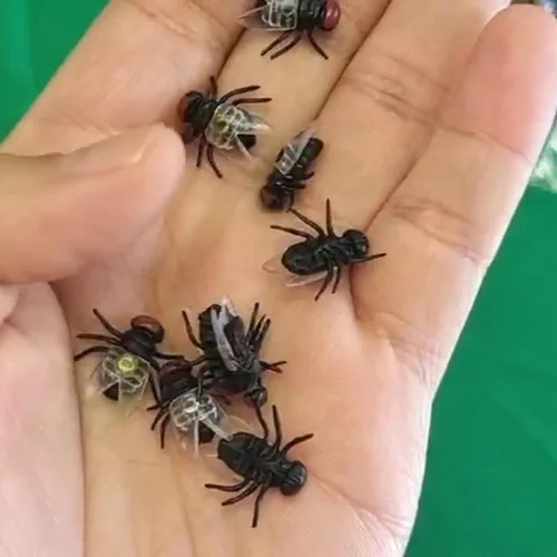 Miniatura 2 de YPY 100 piezas de plástico moscas broma novedad juguetes