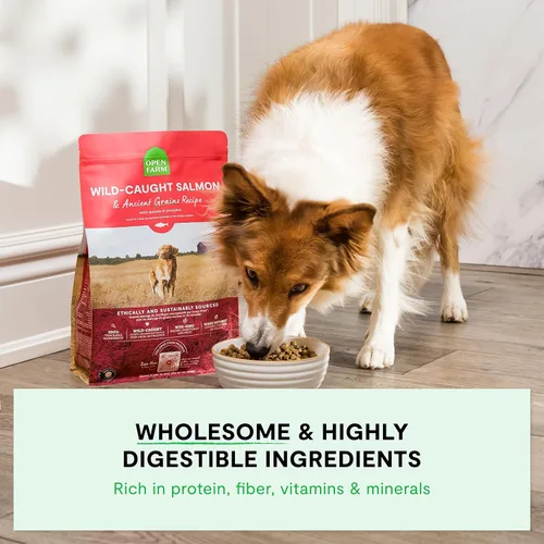 Miniatura 3 de Open Farm, alimento seco para perros con granos ancestrales, rico en proteínas y nutrientes, 90% de proteína animal mezclada con frutas, verduras