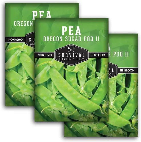 Miniatura 11 de Oregon Sugar Pod II - Semillas de guisantes de nieve para plantar, vainas comestibles crujientes, guisantes de nieve estilo broche de azúcar de alto