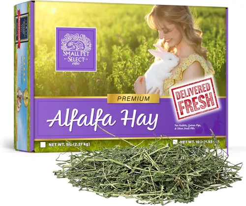 Small Pet Select Alfalfa - Alimento para mascotas para conejos jóvenes, conejillos de indias, chinchillas, tortugas y otros animales pequeños, caja