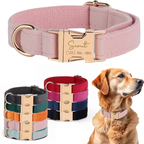 Miniatura 10 de Juego de arnés de terciopelo, regalo para dueños de mascotas, collar personalizado con nombre y número de teléfono, collar y correa personalizados