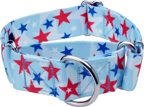 Country Brook Petz HossFit Jr - Collar ancho de Martingala para perro, colección Americana con diseños patrióticos (celebración americana, mediano)