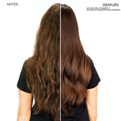 Miniatura 8 de Redken Frizz Dismiss Shampoo For Frizzy Hair - Provides Smoothness & Shine, Weightless Frizz Control, Sulfate-Free
