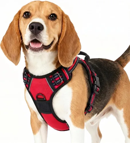 Miniatura 13 de Funfox Arnés para perro sin tirones, chaleco ajustable para mascotas con asa de control y clip frontal, diseño reflectante para perros pequeños