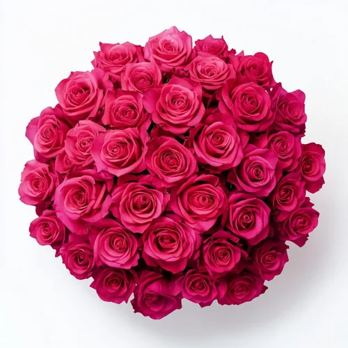 Miniatura 29 de GlobalRose Ramo de 50 rosas surtidas, rosas de origen responsable, flores frescas, ramo fresco de flores seleccionadas a mano para el día