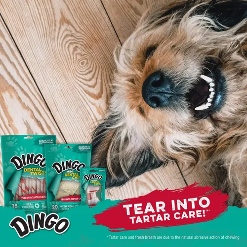 Miniatura 5 de Palillos dentales Dingo 48 unidades, acción de masticación natural ayuda a limpiar los dientes