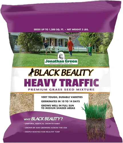 Jonathan Green (10970) Semillas de césped Black Beauty para tráfico pesado - Semillas de césped para temporada fresca (3 libras)