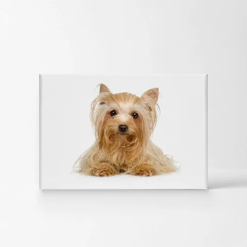 Miniatura 2 de Diseño de arte de la sonrisa Retrato de lindo Yorkie Yorkshire Terrier perro animal lienzo de pared impresión arte del dueño de mascotas amante