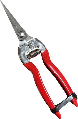Garden Guru - Tijeras de podar rectas de acero inoxidable - Cortador de bonsái afilado Tijeras de recortar plantas - Herramienta de tijeras de