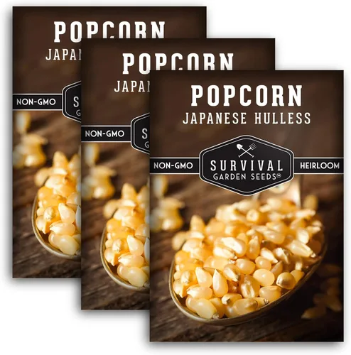 Miniatura 11 de Survival Garden Seeds - Semilla de Maíz Sin Cáscara Japonés para Plantar - 1 Paquete con Instrucciones para Plantar y Cultivar Deliciosas Palomitas