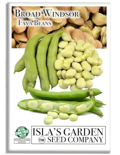 Semillas de frijol Fava "Broad Windsor" para plantar, 25 semillas tradicionales por paquete, semillas de jardín de Isla (semillas de jardín de