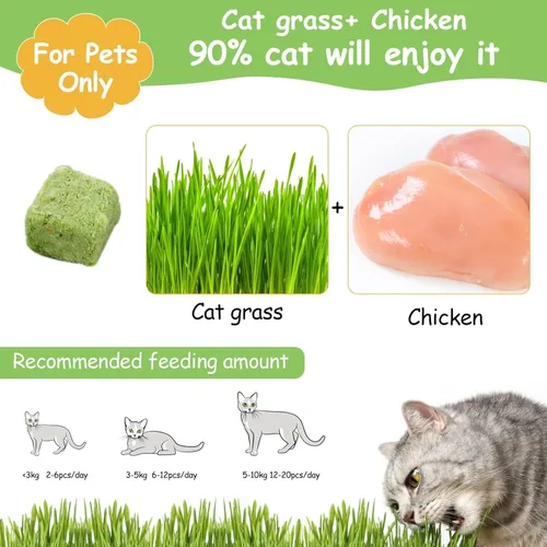 Miniatura 2 de 60g de hierba gatera para gatos, snacks de hierba gatera deshidratados al congelar para la dentición de gatitos, juguetes masticables comestibles