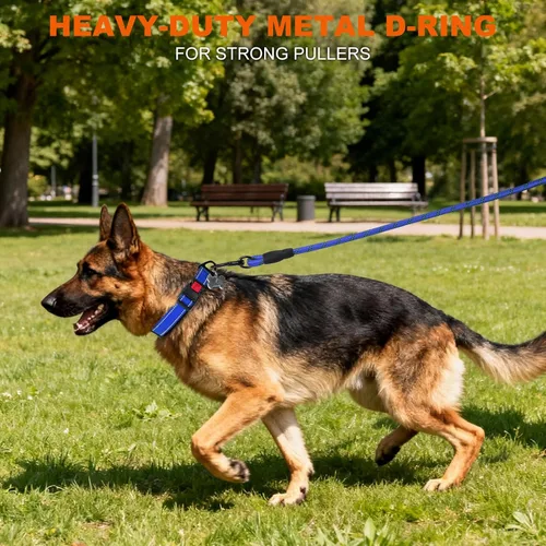 Miniatura 6 de Taglory Collar de perro personalizado con placa de nombre, placas de identificación de mascotas personalizadas, sin ruido, collares reflectantes