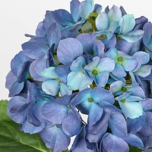 Miniatura 3 de Hollyone Flores artificiales de hortensias azules en maceta, flores grandes de seda de tres cabezas, arreglos florales falsos para interiores