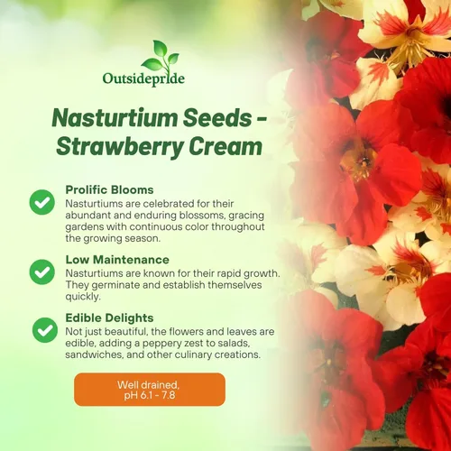 Miniatura 3 de Outsidepride Semillas de capuchina en crema de fresa, 25 unidades, anuales, fáciles de cultivar y versátiles, semillas de flores para plantar flores
