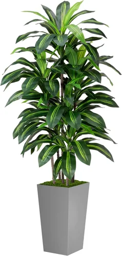 Miniatura 11 de Árbol artificial de Dracaena de 5 pies, árbol falso con maceta alta negra, planta falsa de yuca sintética en maceta, planta artificial para el Negro