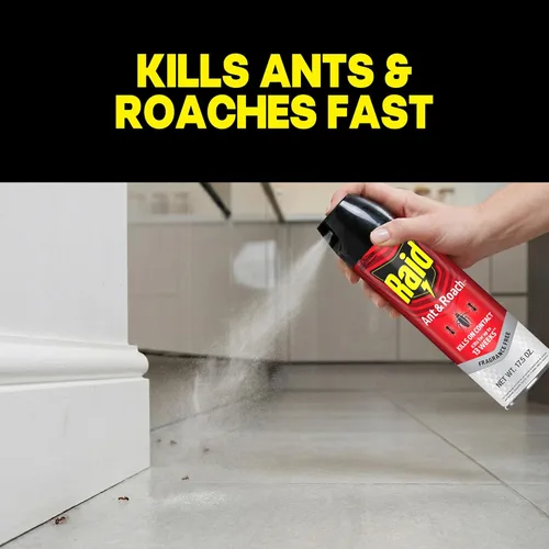 Miniatura 2 de Raid® Ant & Roach Killer Spray, sin fragancia, 17.5 onzas, paquete de 2