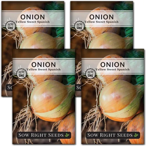 Miniatura 9 de Sow Right Seeds - Semillas de cebolla dulce española amarilla para plantar - Paquete de reliquia sin OMG con instrucciones para plantar un huerto