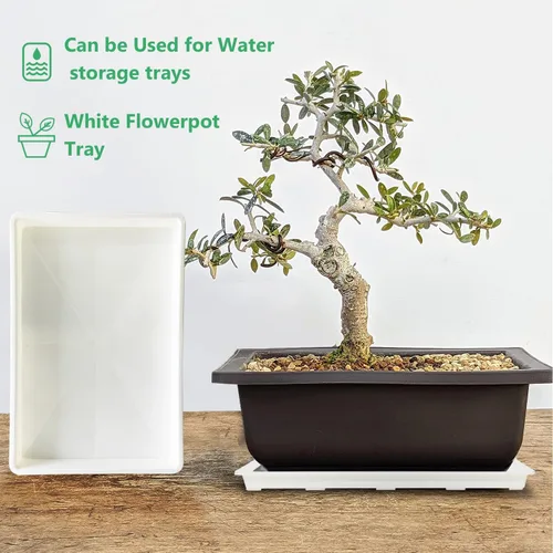 Miniatura 6 de RooTrimmer Paquete de 5 Bandejas para Vivero, Bandeja para Plantas con Capacidad de Transporte y Soporte para Macetas de 24 Celdas, Bandeja